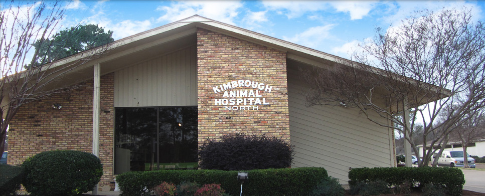 longview tx veterinarian