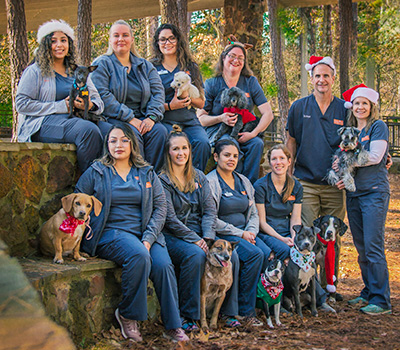 Longview Animal Hospital Team