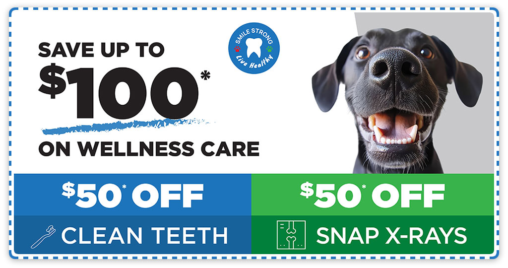 save up to $100
