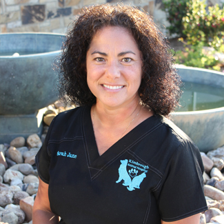 Hospital Staff Longview Tx Veterinary Care